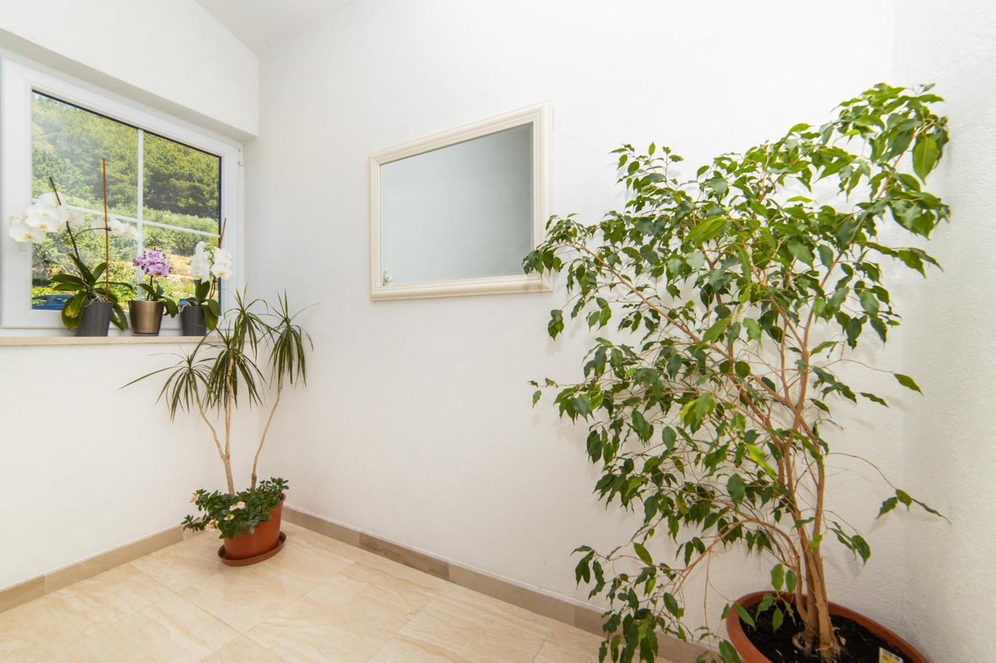 Apartments Tilda Brist Dış mekan fotoğraf